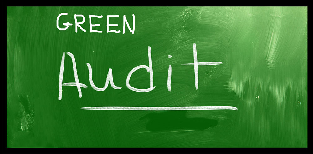 Green Audit