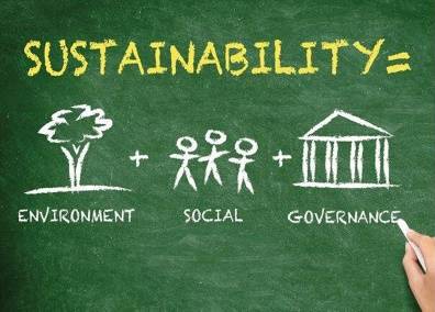 Sustainability / ESG / BRSR